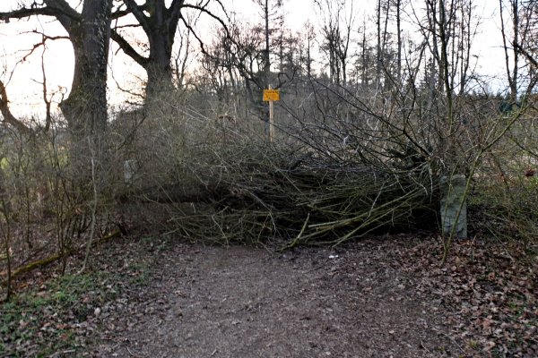 Ende Gelände: Wer von der Hanegge aus über die Blaue Brücke ins Menkhauser Waldgebiet möchte, wird wenige Meter nach der Brücke von dieser aus Zweigen errichteten Barriere aufgehalten. - © Gunter Held