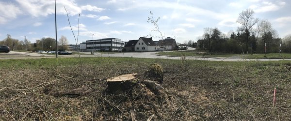 Der Verkehr am Kreuzungspunkt von Schmuckenberger Weg, Reinickendorfer und Flachsmarktstraße soll durch einen Kreisel entzerrt werden. - © Seda Hagemann