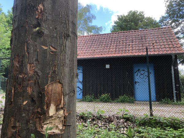 Am Abwasserpumpwerk in Lieme haben Unbekannte Bäume beschädigt – diese könnten bleibende Schäden davon tragen, fürchtet der Eigenbetrieb Straßen und Entwässerung. - © Till Brand