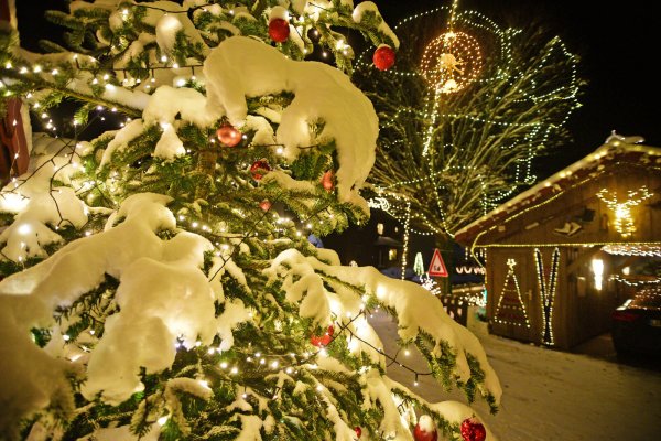 Das Weihnachtshaus von Klaus Düwel ist die ganze Weihnachtszeit über geöffnet. Besucher können sich an den Lichtern erfreuen und für den guten Zweck spenden. - © Nicole Ellerbrake