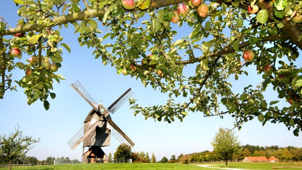 Die mögliche Umbenennung des LWL-Freilichtmuseums in Detmold beschäftigt auch den Lippischen Heimatbund. - © LWL/Robin Jähne