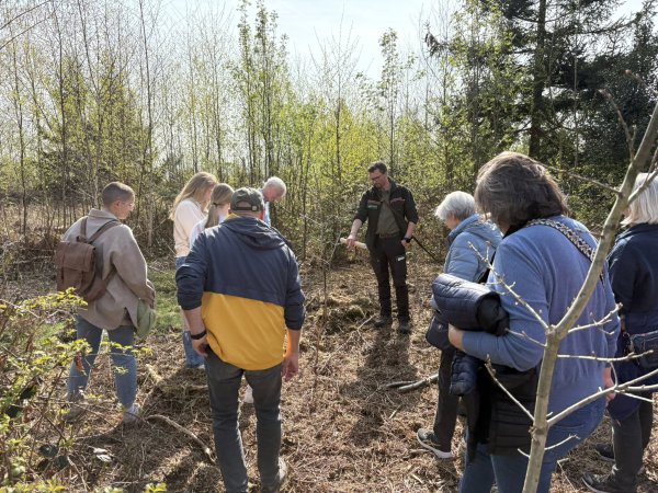 Förster Alexander von Leffern erklärt, wie Rehböcke sich an heranwachsenden Jungbäumen "schubbern" und den Nachwuchs der klimastabilen Pflanzen gefährden. - © Jan Schillmann