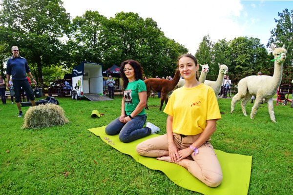 Iwona Festing (links) und Justyna Jankowska machen beim Alpaka-Yoga mit. - © Nicole Ellerbrake