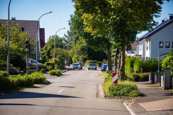 Im Lopshorner Weg erschweren umstehende Bäume die Sicht auf die dortige Fußgängerampel. Nun sollen sie, im Sinne der Verkehrssicherheit, entfernt werden. - © Raphael Bartling