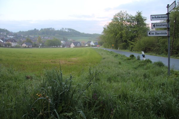 Auf diesem Grundstück in Westorf soll eine Neubausiedlung entstehen. Rechts ist die Talstraße zu sehen. - © Nadine Uphoff