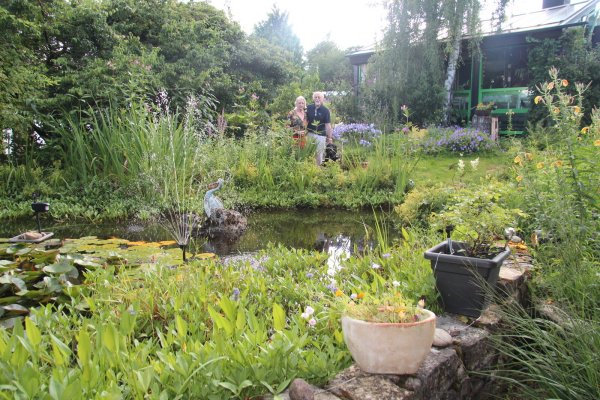 Elisabeth Brockmann und Dr. Karl Lichte freuen sich jeden Tag über ihren Garten mit Goldfischteich und einer Menge blühender Stauden. - © Cordula Gröne(LZ)