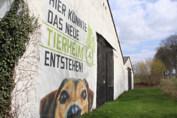 Das "könnte" kann der Tierschutzverein Holzminden-Höxter nun streichen. - © Burkhard Battran