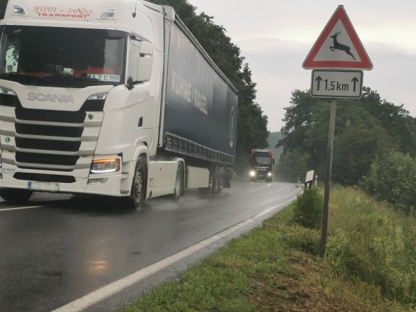 Nicht nur ein Schild "Wildwechsel" sondern auch eine Geschwindigkeitsreduzierung und ein Überholverbot möchte SPD-Politikerin Regina Reuschel an dieser Stelle an der B1 Barntrup Richtung Grießem Höhe Steinbruch sehen. Straßen NRW beschied ihren Antrag negativ. - © Sylvia Frevert(LZ)