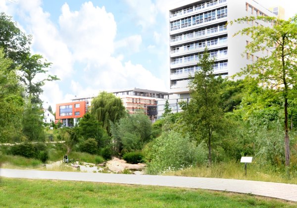 Zu einem attraktiven und zukunftsfähigen Klima-Quartier will die CDU das Areal rund ums Klinikum umgestalten. - © CDU