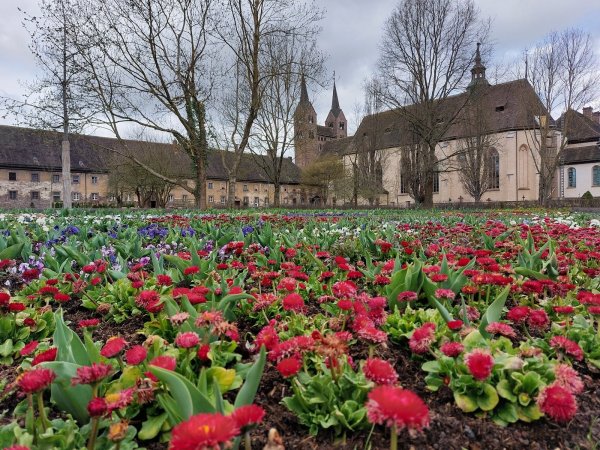 Vor der Kulisse der Welterbestätte Corvey blühen im Remtergarten die ersten Blumen. - © Michaela Weiße