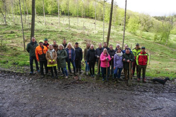 Vertreter der Stiftung Sparda-Bank Hannover und des Landesverbandes Lippe pflanzen junge Bäume auf einem Waldareal bei Holzhausen-Externsteine. - © Artenglück Naturschutz