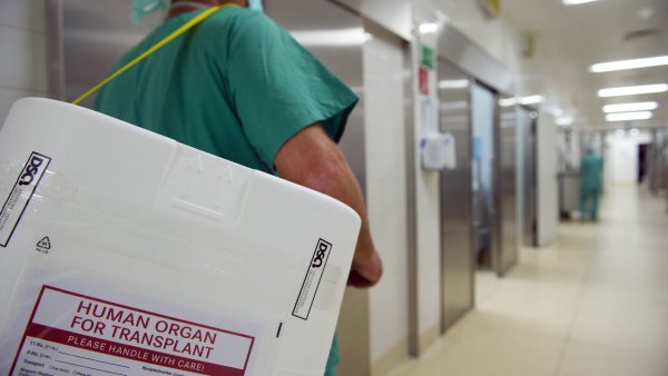 8.400 Menschen warten derzeit darauf, dass in so einem Styropor-Behälter ihr rettendes Organ transportiert wird. - © Soeren Stache/dpa