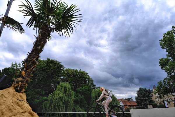 Dräuender Himmel über Palmen in der Residenz: Vor Detmold macht der Klimawandel nicht Halt. Daran muss man sich anpassen, weswegen es künftig ein Anpassungsmanagament und ein Anpassungskonzept geben soll. - © Sven Koch