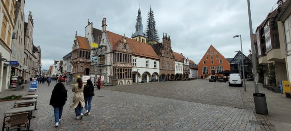 Ein Gerüst steht am Rathaus. - © Katrin Kantelberg