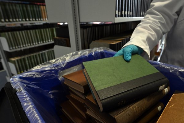 In vielen Bibliotheken werden derzeit grüne Bücher aus dem 19. Jahrhundert aus den Regalen genommen - sie stehen unter Verdacht, mit giftigem Arsen belastet zu sein. - © Federico Gambarini