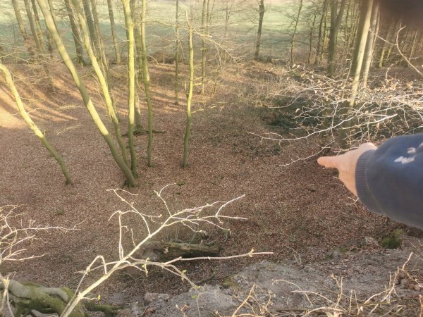 Der Finder, der sein Gesicht nicht zeigen möchte, zeigt auf die Fundstelle im Wald. - © Sylvia Frevert
