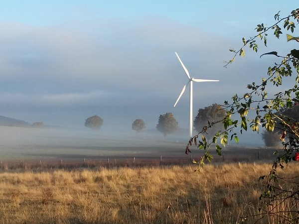 Windkraft ist ein strittiges Thema. Der Bauherr einer in Alverdissen auf dem Bromberg geplanten Anlage hat jetzt die Stadt Barntrup verklagt. In einem möglicherweise angestrebten Eilverfahren könnte eine Entscheidung bereits in wenigen Wochen fallen. - © Sylvia Frevert