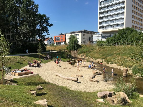 Die Werre hat so manche Rückzugsflächen erhalten. Die Stadt hat noch weitere Abschnitte im Blick. - © Sven Koch