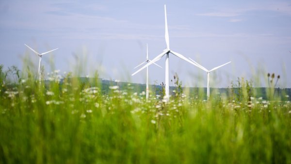 In OWL wird nun Platz für Windräder verbindlich festgelegt – auf 14.000 Hektar. - © Julian Stratenschulte/dpa