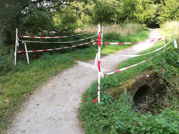 Das Yoga Vidya kümmert sich um sichere Wege - wie die Instandhaltung dieser Brücke. Das Beseitigen von Pferdeäpfeln gehört nicht dazu. - © Elsbeth Waldeck