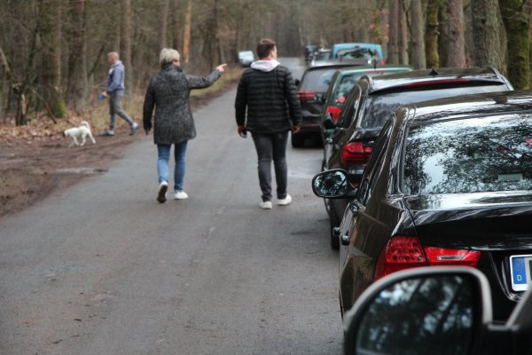 In langer Reihe parken die Autos von Hundebesitzern und Erholungssuchenden nahe der Aussichtsplattform am Dünenpfad. - © Dieter Asbrock