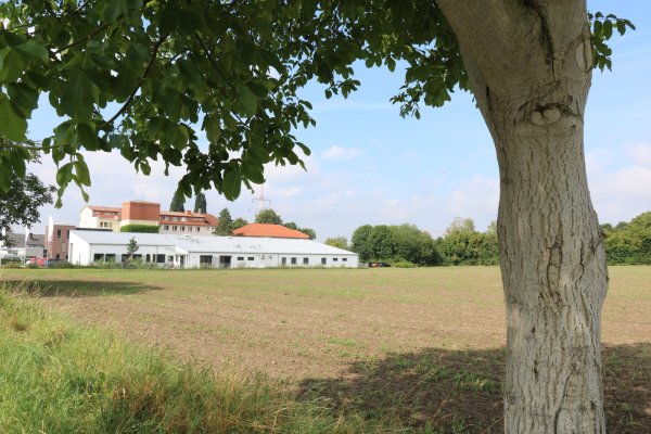 Diese Ackerfläche an der Heldmanstraße soll Standort für den Erweiterungsbau für das Gesundheitszentrum und ein Parkhaus werden. Im Hintergrund ist die Rettungswache des Kreises und dahinter wiederum das ehemalige Kreiskrankenhaus Schötmar zu erkennen. - © Alexandra Schaller