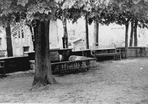 Unter der alten Sängerlinde standen Bänke und ein Springbrunnen (ca. 1965). - © Wulf Daneyko