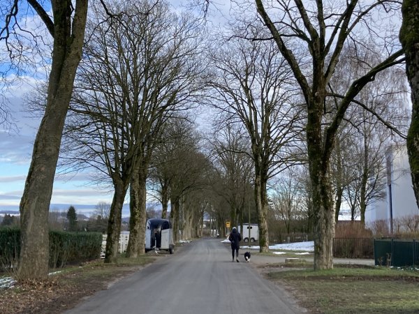 Die Lindenstraße soll zum größten Teil zur Fahrradstraße werden, Verkehrsberuhigungsmaßnahmen sollen hinzu kommen. Besonders im westlichen Teil, der ohne Gehwege ist, wird Handlungsbedarf gesehen. - © Cordula Gröne