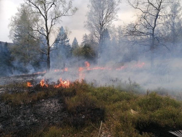 Die Flammen breiteten sich schnell aus. - © Feuerwehr Horn-Bad Meinberg