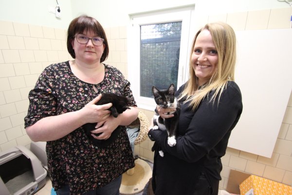 Tierheimleiterin Kerstin Sanker (links) und Jessica Dreblow, Kassiererin des Tierschutzvereins, mit kleinen Katzen. Die beiden befürchten, dass der Tierschutzverein zahlungsunfähig wird. - © Jens Rademacher