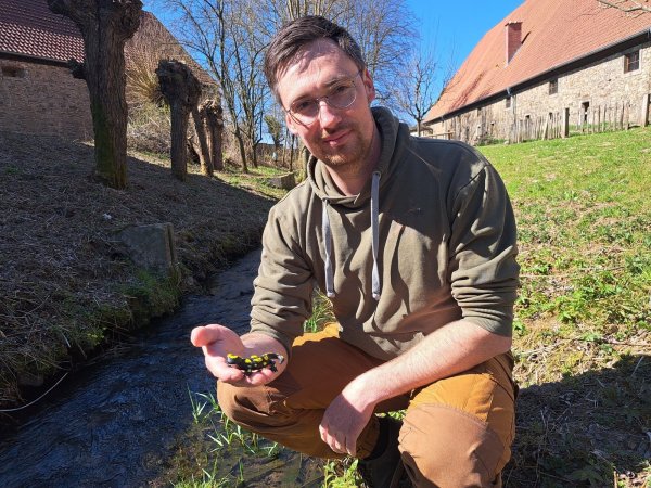 Fabian Fester hält ein Modell eines Feuersalamanders in Händen. Hier im Garten der Biologischen Station gibt es die Amphibien zwar nicht, Bachläufe aber brauchen sie. - © Carolin Brokmann-Förster