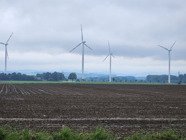 Vier Windräder drehen sich in Hardissen. Der Betreieber der Anlagen möchte zwei sehr viel größere Windräder im Bereich Liemer Straße/Lückhausen bauen. - © Astrid Sewing