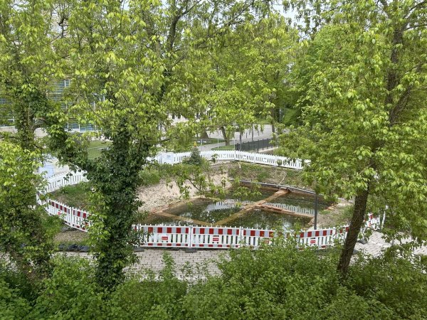 So sieht es aktuell im kleinen Park zwischen Kurgastzentrum und Konzerthalle aus. Das Loch mit den alten Sole-Absetzbecken ist abgesperrt. Im Sommer rücken hier die Bauarbeiter an. - © Alexandra Schaller