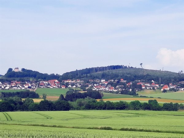 Neben dem bewachsenen Burgberg (links) wird das Ausmaß der Zerstörung durch Trockenheit und Borkenkäfer deutlich: Der Dohlenberg (rechts) ist nur noch eine kahle Fläche. - © Michaela Weiße