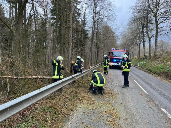 Der Löschzug Bösingfeld sorgt auch beim Sturm für Sicherheit und räumt Bäume von der Straße. - © Löschzug Bösingfeld
