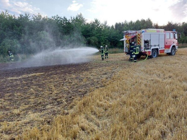 Die Blomberger Wehr bewässerte das Feld. - © Feuerwehr Blomberg