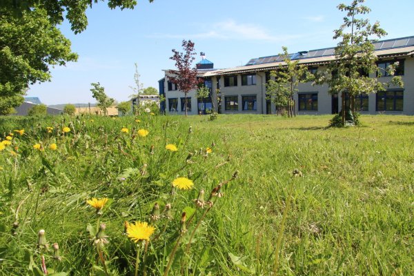 Wegen der Rückkehr zu G9 muss das Gymnasium im Schulzentrum Horn erweitert werden. Das soll auf dieser Grünfläche erfolgen. - © Dieter Asbrock