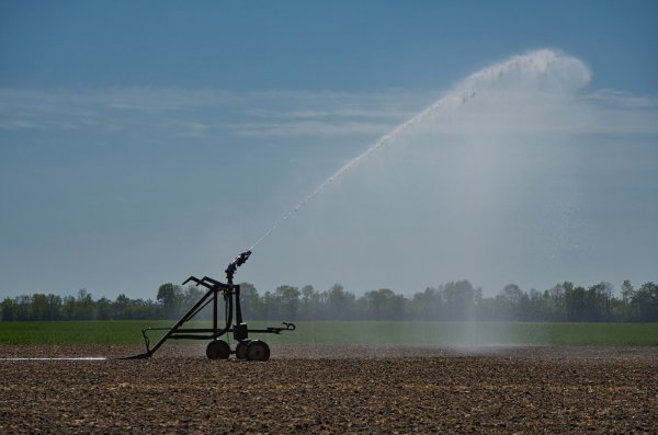Auch in Lippe sind die Felder im Sommer teilweise staubtrocken. Manch ein Bauer greift zur Bewässerungsanlage. Eine Kooperation zwischen Wasserversorgungsunternehmen und Landwirtschaft soll helfen. - © Pixabay
