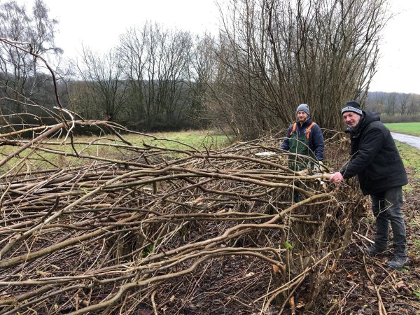 Tammo Beerens und sein Vater Andreas Beerens arbeiten an der Knickhecke in den Salzewiesen in der Nähe der Loosestraße. - © Thomas Reineke