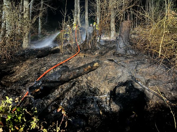 Rund 200 Quadratmeter Wald sind am vergangenen Wochenende in Tevenhausen abgebrannt. - © Feuerwehr Kalletal