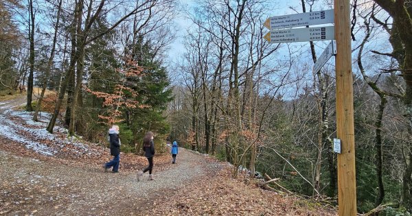 Der Hermannsweg führt jetzt über die Hohe Warte in der Nähe des Cafés Hangstein in Berlebeck. Das verlängert die Wegstrecke. Die Schilder müssen noch angepasst werden. - © Jost Wolf