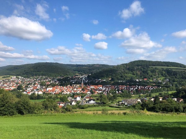Blick vom Osterberg auf Lügde. Natur und Kulturraum sollen in Lippe gut koexistieren. - © TH OWL