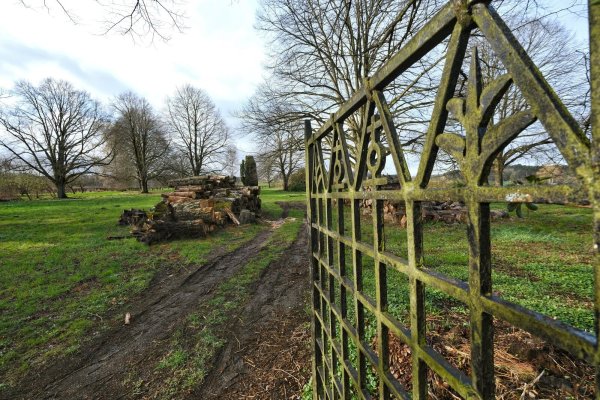 Der ehemalige Friedhof am Langelohweg zwischen Heidenoldendorf und Hiddesen soll künftig für Baumpflanzungen genutzt werden. Dafür wird gerade ein Grobkonzept erstellt. - © Archivfoto: Sven Koch