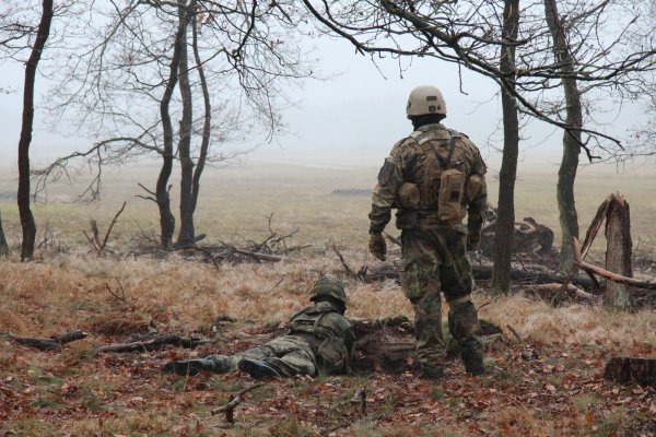 Die Truppenübungsplätze Senne, Stapel und Schapeler Hof bleiben für das Militär unverzichtbar für die Ausbildung ihrer Truppen - das haben Vertreter der Bundeswehr, der britischen Streitkräfte und der zuständigen Zivilbehörde bestätigt. - © Dieter Asbrock