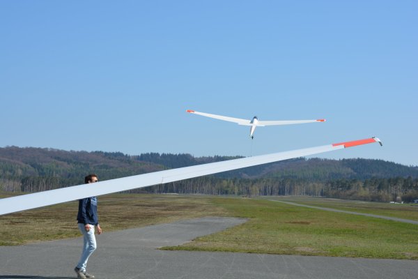 Segelflugzeuge wie diese müssen derzeit am Boden bleiben. Wann der Flugbetrieb wieder aufgenommen werden kann und ob das Flugplatzfest stattfindet, steht derzeit noch in den Sternen. - © Karin Prignitz