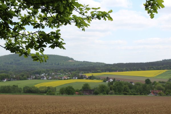 Hörste ist ein idyllisches Fleckchen, aber seit einiger Zeit gibt es Ärger im Heimat- und Verkehrsverein, der sich in einigen Projekten für das Dorf engagiert. - © Archivfoto: Sandra Castrup