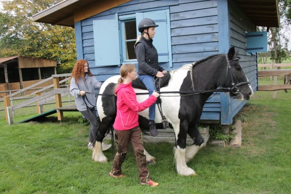Therapie auf Pferderücken: Marilena Traue und Torina Rohlfing (links) begleiten Carolin Meinsen trotz ihrer Querschnittslähmung beim kleinen Ausritt mit der Tinker-Stute Aenna auf die Wiese. MT-Foto: Jürgen Langenkämper - © Langenkämper