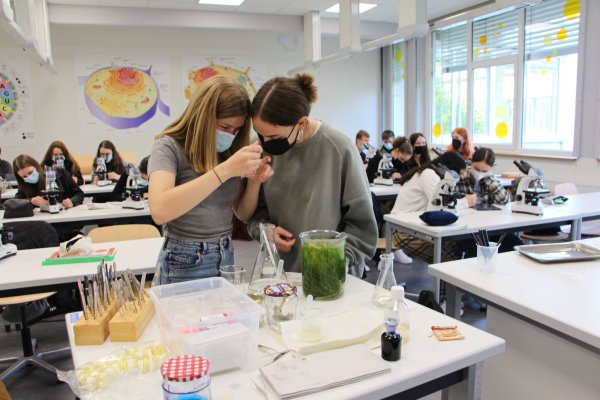 Johanna Wulfkühler und Giarda Klostermeier (rechts) untersuchen, wie schnell Räder- und Pantoffeltierchen wachsen. Die Fotos, die sie mit dem Mikroskop machen, können sie auf der weißen Wand hinter der Tafel der ganzen Klasse zeigen. - © Astrid Sewing
