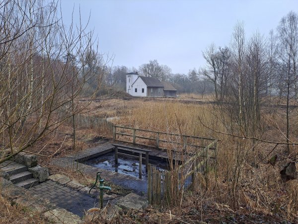 Der Gehölzschnitt am Moorstich „Stinkebrink“ in Bad Meinberg hat im Februar dieses Jahres stattgefunden. Bis zum Jahr 2014 wurde das Moor - das "schwarze Gold" Bad Meinbergs - als Heilmittel für den Kurbetrieb genutzt. Nun wird das Gelände im Rahmen des Projektes „Grüne Infrastruktur“ naturschutzgerecht gepflegt. - © Kreis Lippe