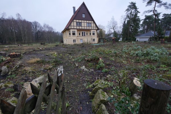 An eine kahle Kraterlandschaft erinnert das Gelände rund um das Haus Nibelungenweg 24. Es wird für Neubauten abgerissen werden. Der Garten war mit teils sehr alten Rhododendren bepflanzt, deren Blüte im Frühjahr Anziehungspunkt für zahlreiche Hiddeser war. - © Jost Wolf